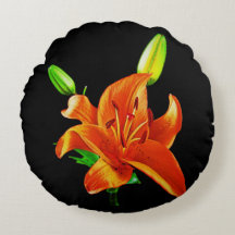 Orange Lily on Black
