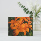 Orange Lily Postcard Postkarte (Stehend Vorderseite)