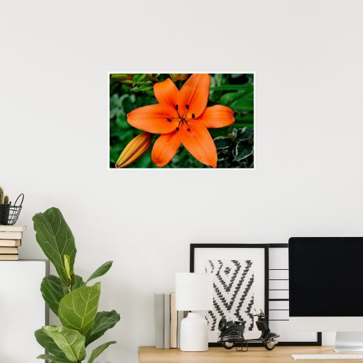 Orange Lily Poster (Heimbüro)