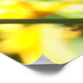 Orange Lily Poster (Ecke)