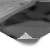 Orange Lily Poster (Ecke)