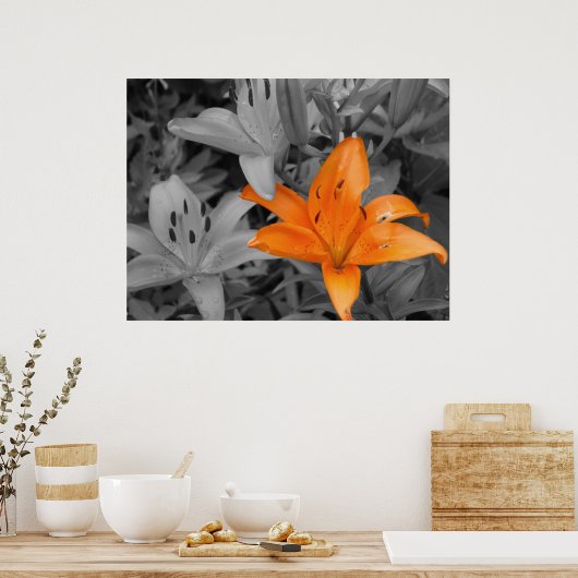 Orange Lily Poster (Küche)