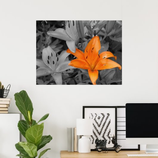 Orange Lily Poster (Heimbüro)