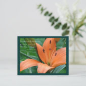 Orange Lily Postkarte (Stehend Vorderseite)