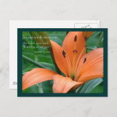 Orange Lily Postkarte (Vorne/Hinten)