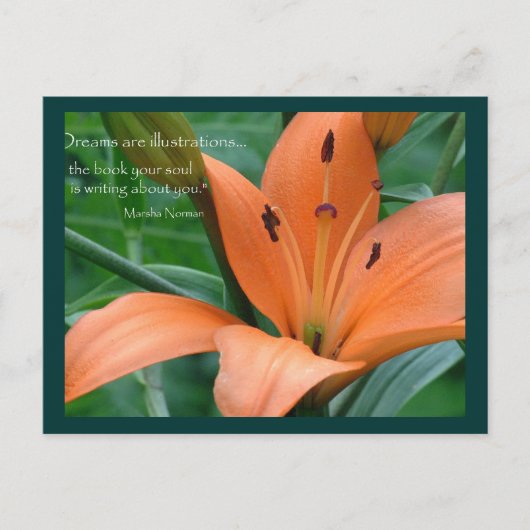 Orange Lily Postkarte (Vorderseite)