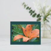 Orange Lily Postkarte (Stehend Vorderseite)