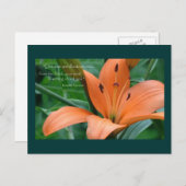 Orange Lily Postkarte (Vorne/Hinten)