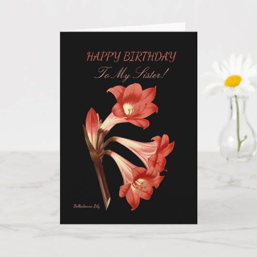 Orange Lily Sister Birthday Karte (Kleine Pflanze)