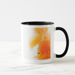 Orange lionhead Goldfisch (Carassius auratus) Tasse