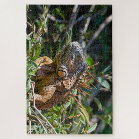 Orange Lizard, Belize Iguana Puzzle (Vertikal)