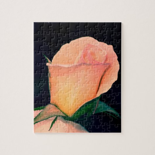 Orange Lomo Rose Puzzle (Vertikal)
