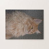 Orange Longhair Cat Puzzle (Horizontal)