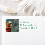 Orange Lorikeet Mailing Labels (Insitu)