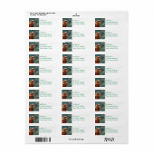 Orange Lorikeet Mailing Labels (Vorne)