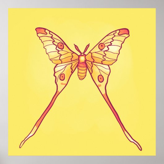 Orange Luna Moth Art - Farbiges Insekt Poster (Vorne)