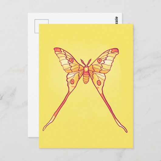 Orange Luna Moth Art - Farbiges Insekt Postkarte (Vorne/Hinten)