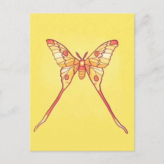 Orange Luna Moth Art - Farbiges Insekt Postkarte (Vorderseite)