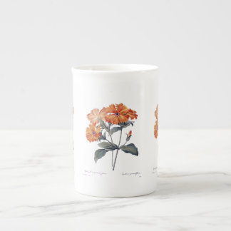 Orange Lychnis Redoute Porzellantasse