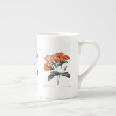Orange Lychnis Redoute Porzellantasse (Rechts)