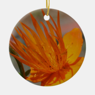 Orange Macro Blume Ornament