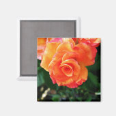 Orange Magnet (Vorderseite/Rückseite)