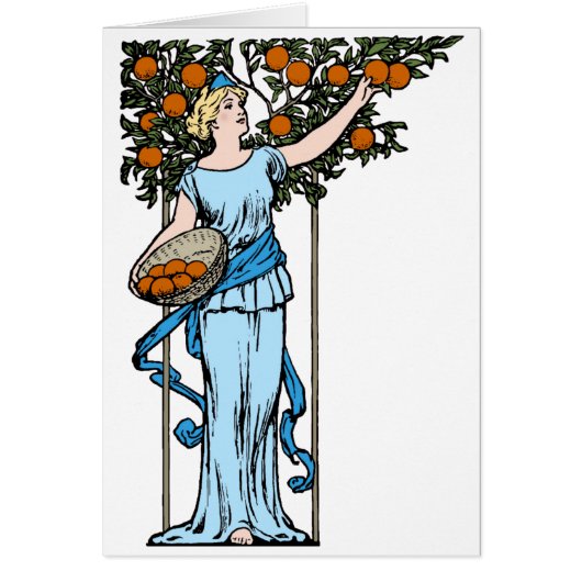 Orange Maiden (Vorne)