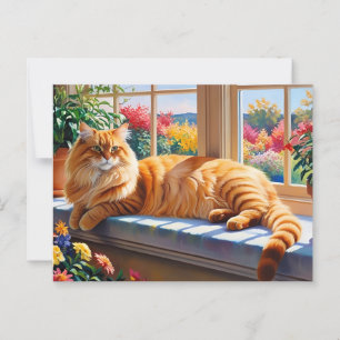 Orange Maine Coon Cat Postkarte