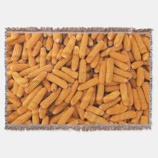 Orange Mais Cob: Ernte Landwirtschaft Hintergrund Decke (Vorderseite)