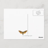 Orange Marbled Moth Postcard Postkarte (Rückseite)