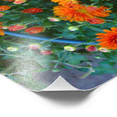 Orange Margarita Daisy Blume Foto Print (Ecke)