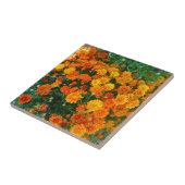 Orange Margarita Daisy Tile Fliese (Seite)