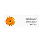 Orange Marigold (Vorne)