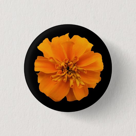 Orange Marigold auf schwarz Button (Vorderseite)