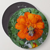 Orange Marigold Bee Blume Button (Vorne & Hinten)