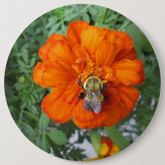 Orange Marigold Bee Blume Button (Vorderseite)