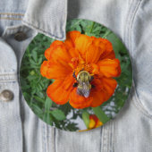 Orange Marigold Bee Blume Button (Beispiel)