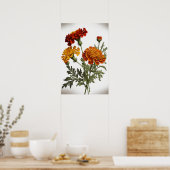 Orange Marigold Blume Art Print Poster (Küche)
