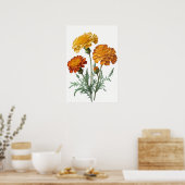 Orange Marigold Blume Art Print Poster (Küche)