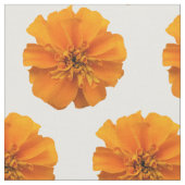 Orange Marigold Blume auf weißem Stoff (Nahaufnahme)