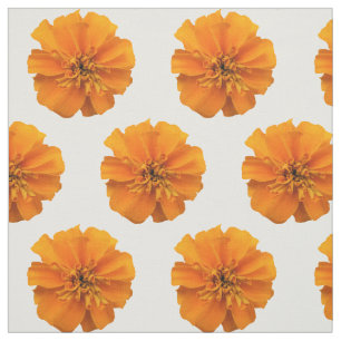 Orange Marigold Blume auf weißem Stoff