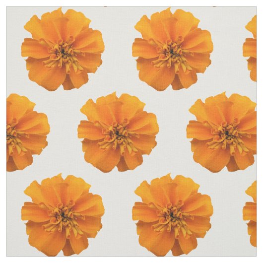Orange Marigold Blume auf weißem Stoff (Muster)