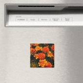 Orange Marigold Blume Magnet (In Situ (Geschirrspüler))