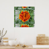 Orange Marigold Blume Poster (Küche)
