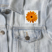Orange Marigold Button (Beispiel)