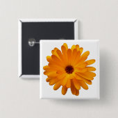 Orange Marigold Button (Vorne & Hinten)