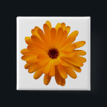 Orange Marigold Button<br><div class="desc">Ein ansprechendes Single Orange Marigold Motiv.</div>