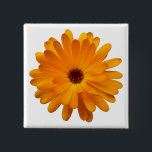 Orange Marigold Button<br><div class="desc">Ein ansprechendes Single Orange Marigold Motiv.</div>