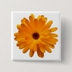 Orange Marigold Button