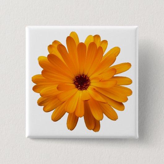 Orange Marigold Button (Vorderseite)